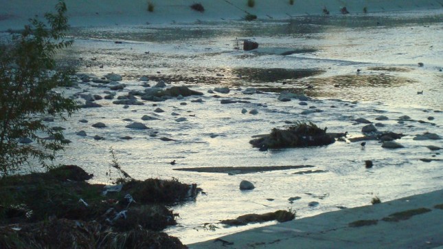 A view of the LA River in the late afternoon
