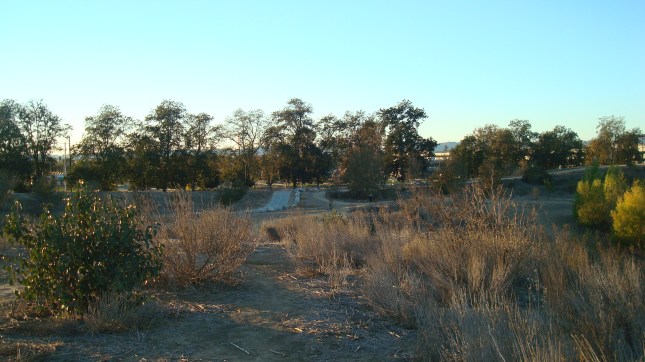 Another shot of the park facing toward Balboa Blvd.