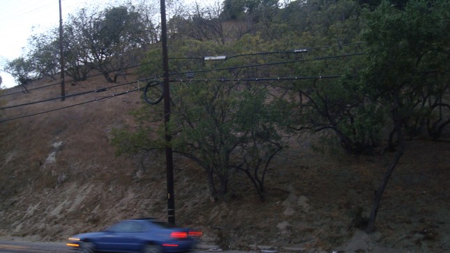 Hills on the west side of Coldwater Canyon