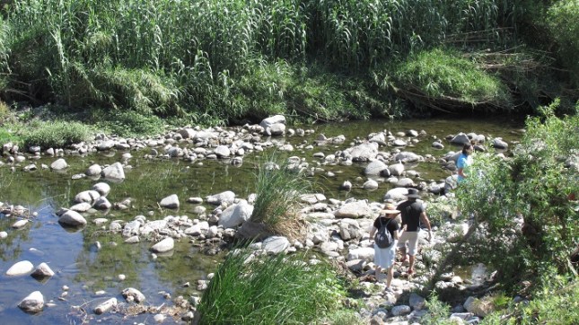Exploring the river bed.