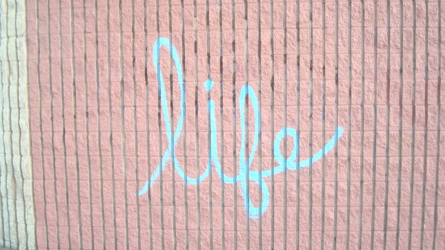 Unknown Artist, Sunset west of Highland