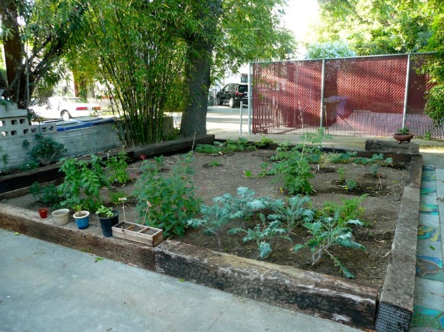 A garden in front of The Hermitage.