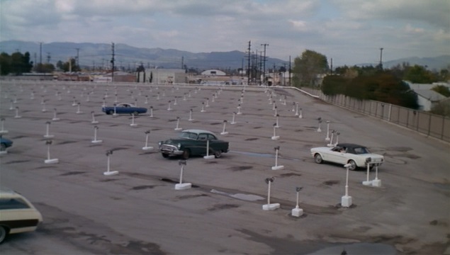 31 Targ Drive In Wide