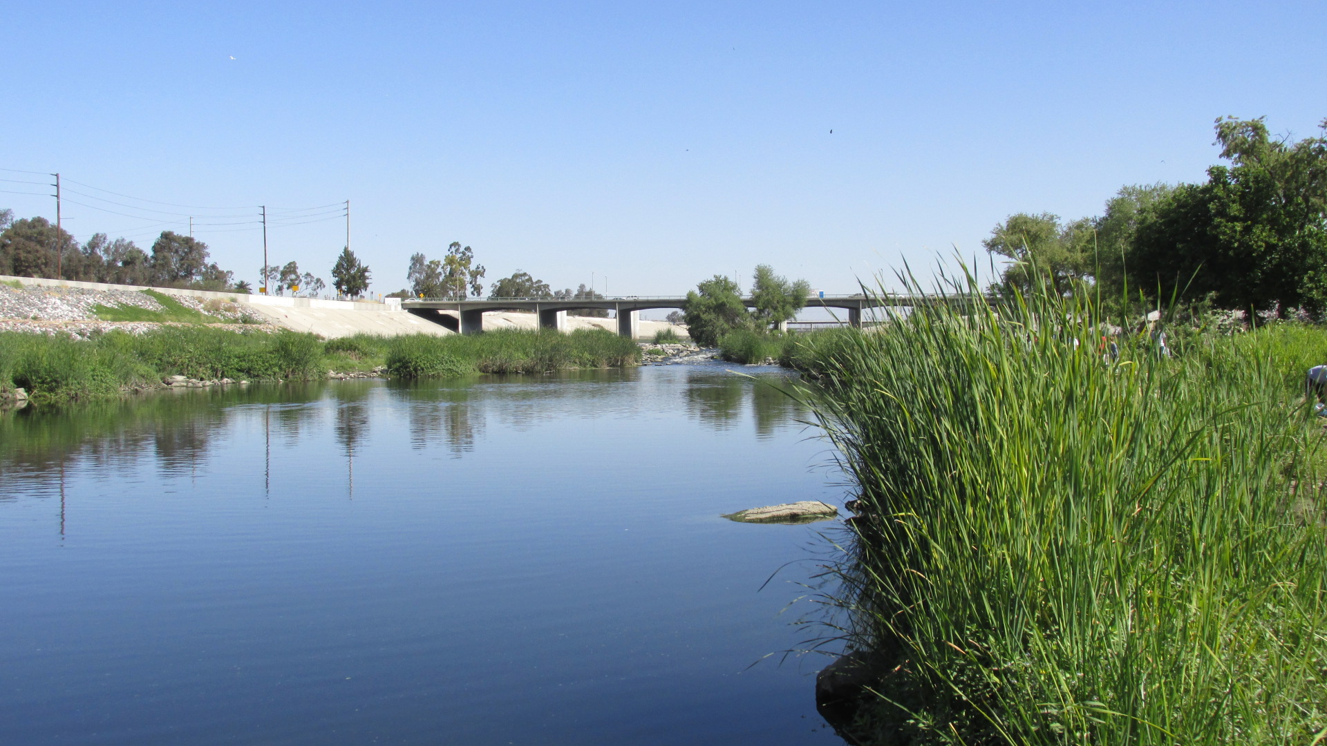 LAR WCU 00 Grass Water 1