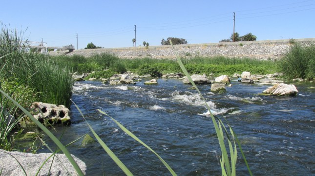 LAR WCU 40 River Rapid