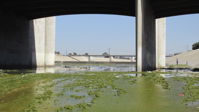 LAR WCU 70 Green Bridge