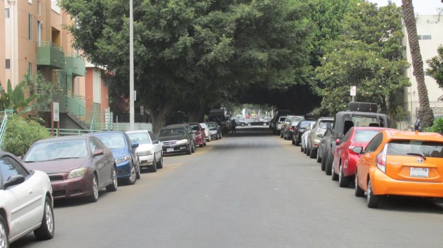 CH Cars Trees 1 EDITED