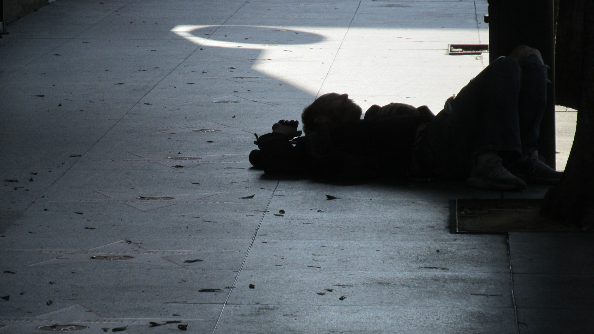 C19 Hlwd Homeless on Hlwd Blvd