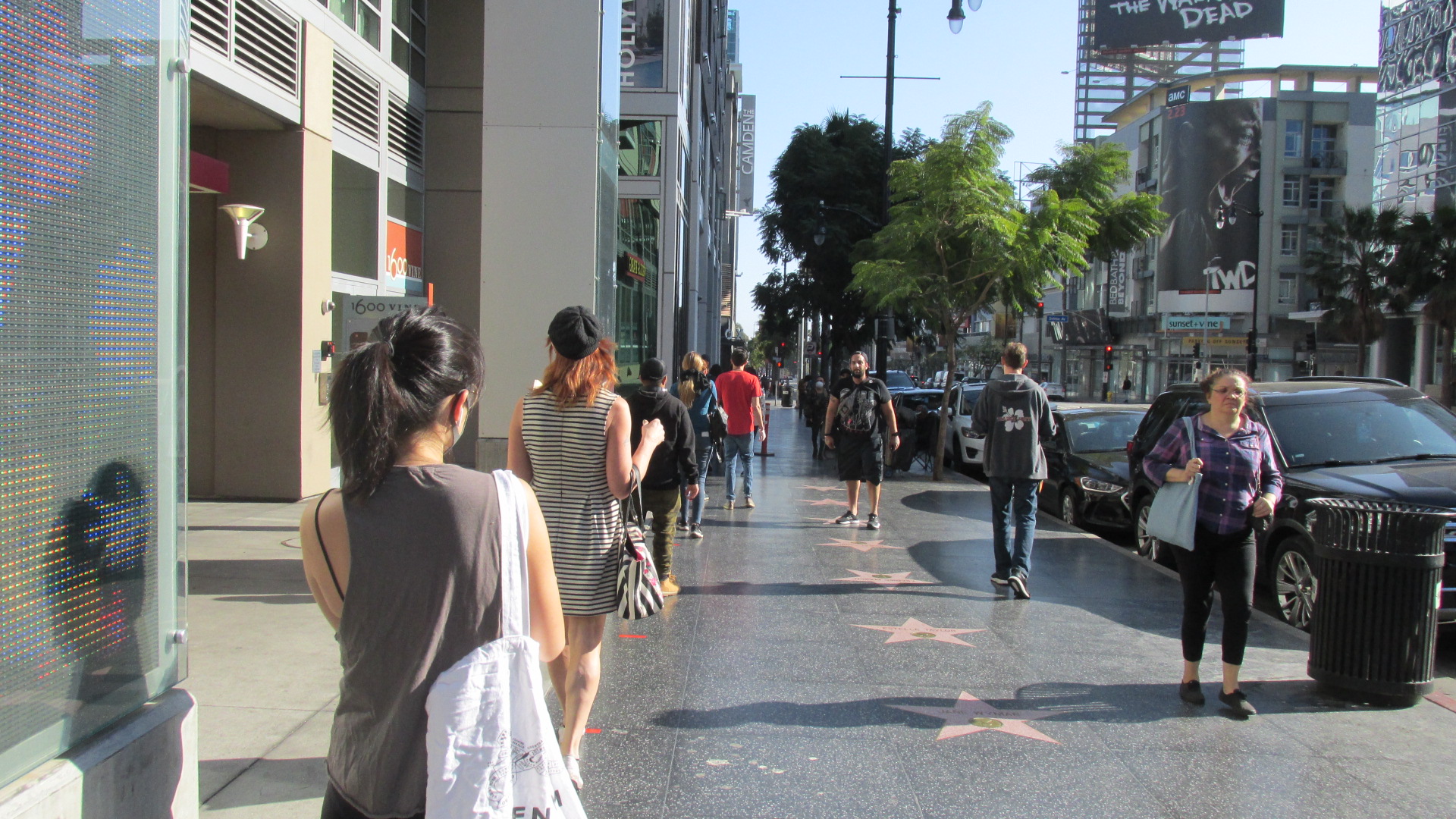 C19 Hlwd Market Line